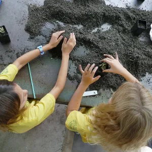 Jr. Naturalist Summer Camp Plant Propagation Activity
