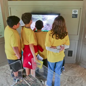 Neighbors in Nature Summer Camp