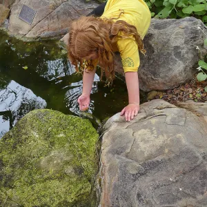 Neighbors in Nature Summer Camp