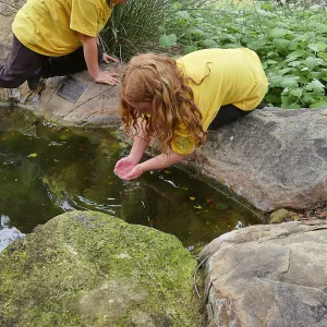 Neighbors in Nature Summer Camp