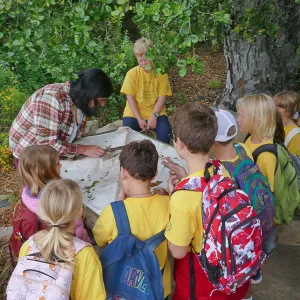 Neighbors in Nature Camp, Beat sheeting activity