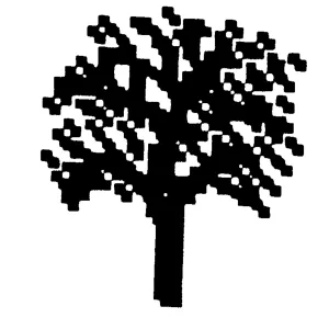 Oak