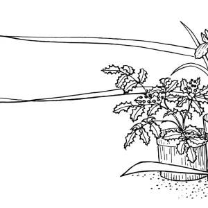 Gleanings Graphic (liveforevers) (Alumroot or coral bells)