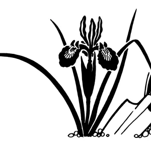 Cultivations Logo