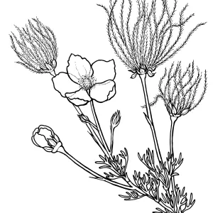 Apache Plume