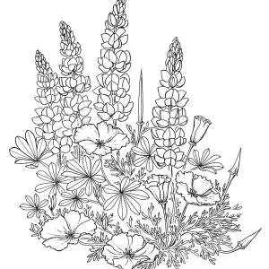 California Poppies and Lupine