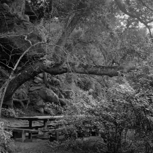Picnic Table just above Mission Dam