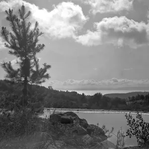Mountain lake at north end of meadow with view to Santa Cruz Island