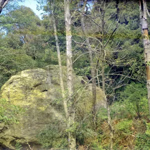 Boulder in Mission Creek