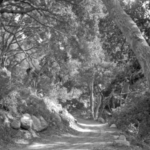 Probably the Canyon Trail on west side of Mission Creek after it was enlarged to allow vehicle access