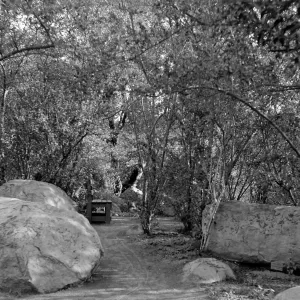 Unknown bench location, probably somewhere in the canyon