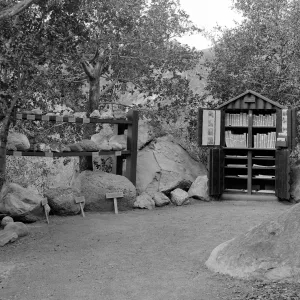Historic Library cabinet and the Geology Exhibit