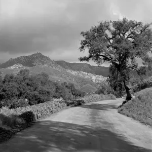 Early view of Mission Canyon Road in vicinity of the Garden