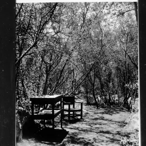 Historic Library/bookshop
