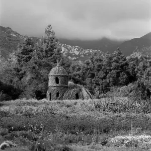Toad Hall photo by Nell Campbell and Scott McClaine