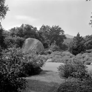 Old entrance road into the Garden