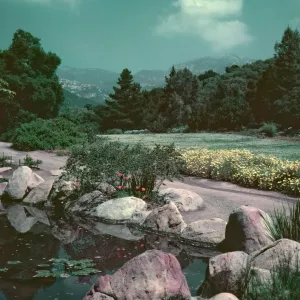 View of strawberry meadow with Coreopsis maritimus border and pond in foreground
