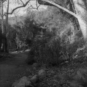 Canyon-Mountain View