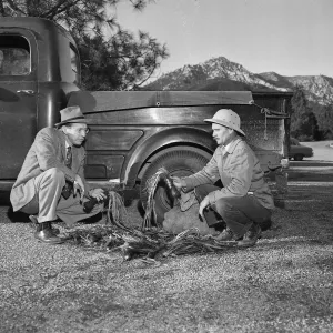 C.H. Muller? and ? with Chlorogalum bulbs in parking lot