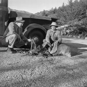 C.H. Muller? and ? with collected bulbs in parking lot