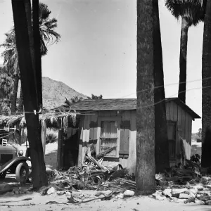 Thousand Palms, palms, auto, building windmill