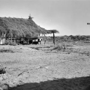 Black and white photograph of a building with a palm frond roof in a desert setting and a telephone pole with a wire on the right side.