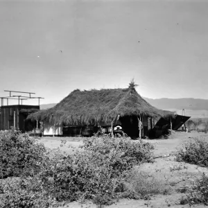Black and white photograph of a building with a thatched roof against distant hills with two black horses near the door and bushes in the foreground.