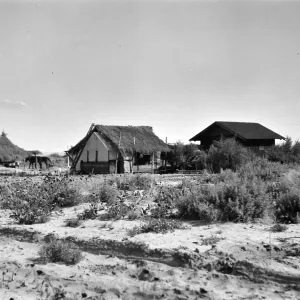 Black and white photograph of a cluster of buildings in a desert landscape with brush surrounding them and a black horse outside the building on the left.