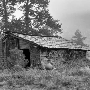 Black and white photograph of a cabin in the fog surrounded by pine trees with a mountainside in the background.