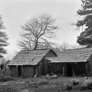 Black and white photograph of two small wooden houses in a foggy forest setting, with a horse in a fenced enclosure at the side.