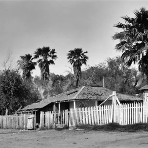 Black and white photograph of a one-story building with a white wooden fence and trees and palms around it.