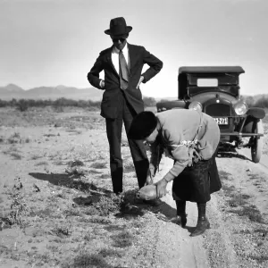 Black and white photograph of a man and woman on a dirt road with a black car behind them. The man is wearing a suit and the woman is lifting a tortoise out of the road.