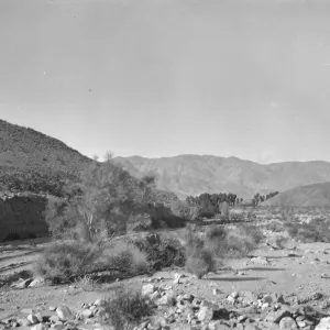 Black and white photograph of a desert landscape with brush and a hill in the foreground and a mountain range in the distance.