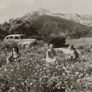 young ladies and an automobile in the Meadow, 1940s