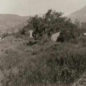 two entrance boulders & Blaksley Boulder behind, circa 1926