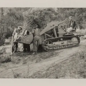 Grounds work, moving a tree with tractor, 1958