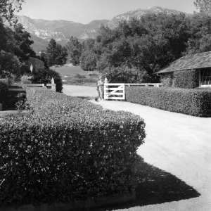 SBBG courtyard with lemonade berry hedge