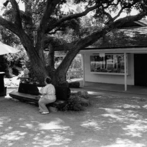 Front entrance, Admissions Counter and Garden Shop (Coastal Live Oak)