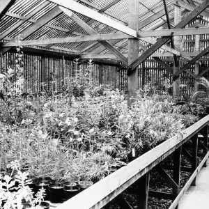 SBBG Horticulture Building, lath house (interior)