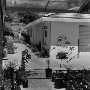SBBG Horticulture Building, can yard