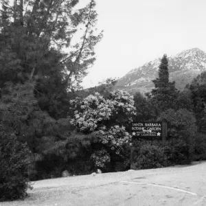 'Santa Barbara Botanic Garden' new wood sign at Entrance to SBBG, 1962-1965