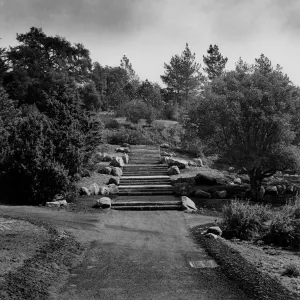 Old Garden Entrance, Clara Smith Memorial Steps