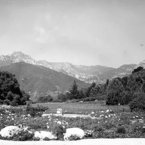 SBBG Meadow with Sundial