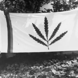 SBBG Garden Flag