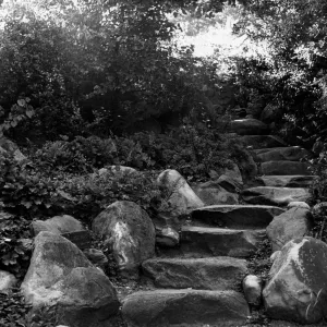 SBBG Arroyo Section, steps leading up to Ceanothus (historic) Section