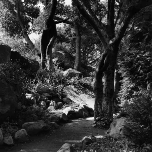 SBBG Arroyo Section, Lower Arroyo Trail