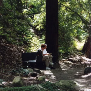 SBBG Redwood Section, visitors sitting on wood bench