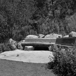 wood bench on Porter Trail, SBBG