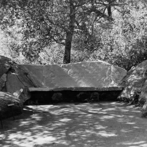 the Bissell Bench, stone bench under the Meadow Oaks