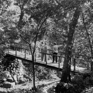Visitors on Campbell Bridge, Mission Creek